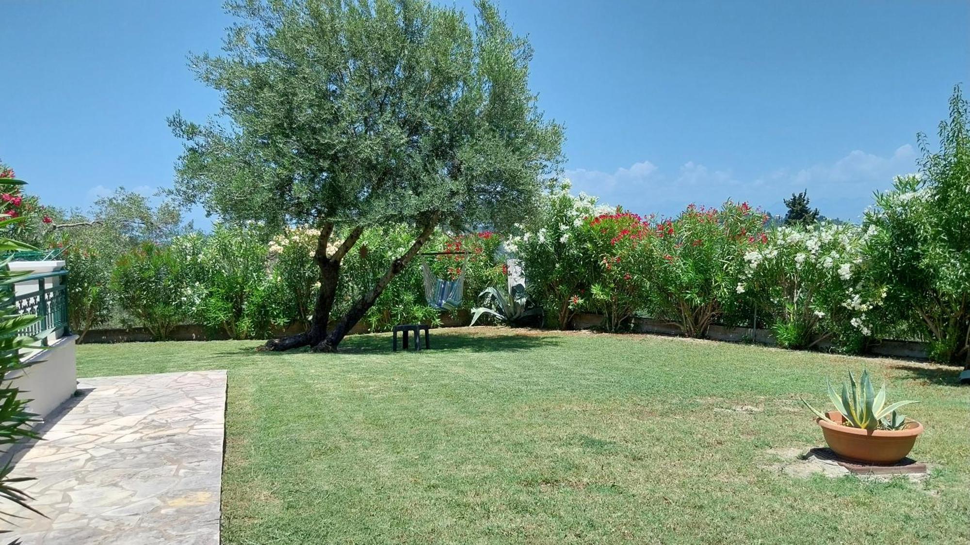 Villa Gecko, Arillas Kavvadades Exterior foto